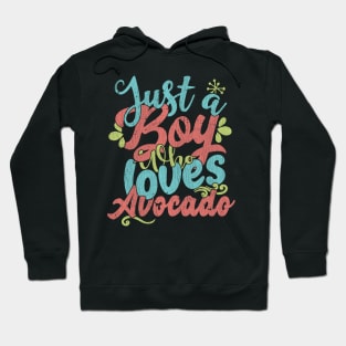 Just A Boy Who Loves Avocado Gift graphic Hoodie